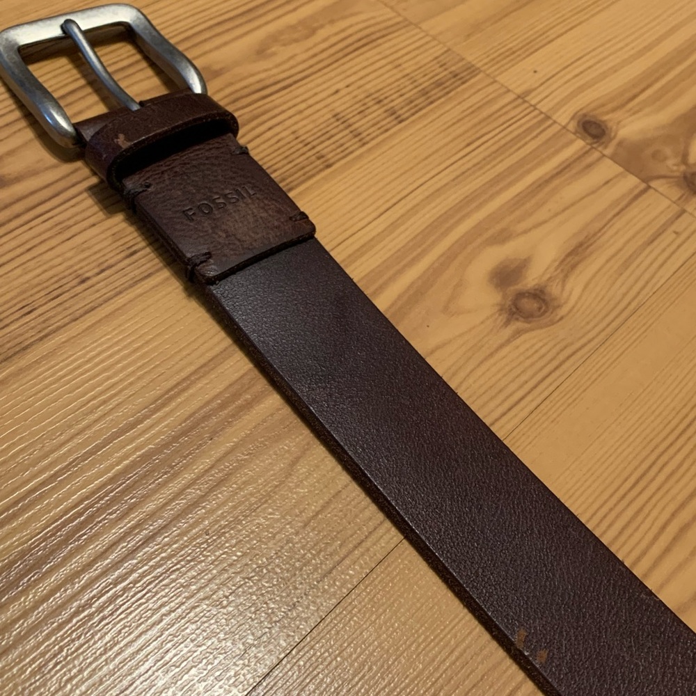 Fossil Belt Bundle - Picture 2 of 7